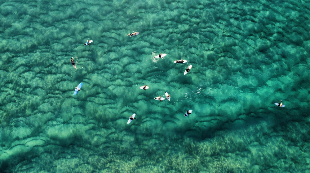 Surfs Up Sydney Siders