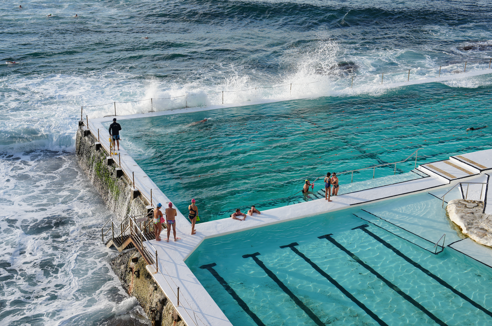 Bondi Swimmers